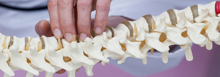 The Educational Requirements For A Chiropractor