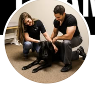 Champion Chiropractic