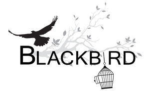 Blackbird Fitness Trainer
