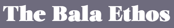 Bala Yoga Studio