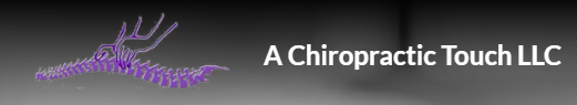 Chiropractic Touch