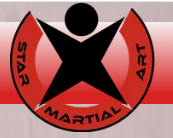 Star Martial Arts