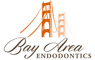Bay Area Endodontics