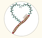 Aesthetic Image Dentistry