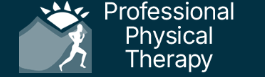 The Professional Physical Therapy