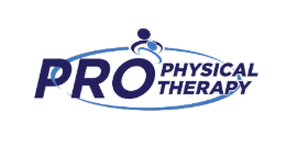 Pro Physical Therapy