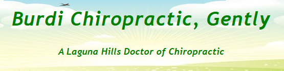 Burdi Chiropractic Gentle