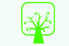 Optimum Behavioral Health