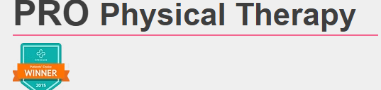 Pro Physical Therapy