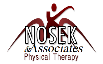 Nosek & Assoc Physical Therapy
