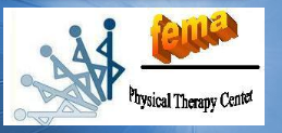 Fema Physical Therapy Center