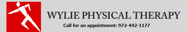 Wylie Physical Therapy