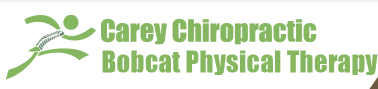 Carey Chiropractic