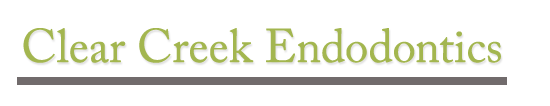 Clear Creek Endodontics