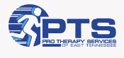 Pro Therapy Services