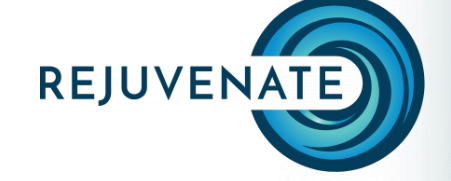 Revitalize Management Group