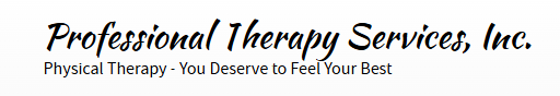 Professional Therapy Services