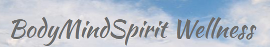 Body Mind Spirit Wellness Ctr
