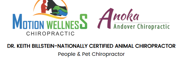 Anoka Andover Chiropractic