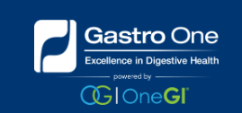 Gastro One                                                                                                                      