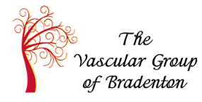 Vascular Group of Bradenton
