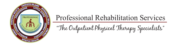 Professional Rehabilitation Services
