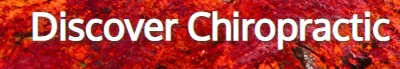 Discover Chiropractic