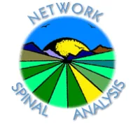Network Spinal Analysis