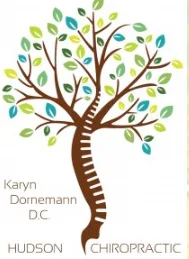 Hudson Chiropractic