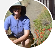 Healing Bridge Physical Therapy