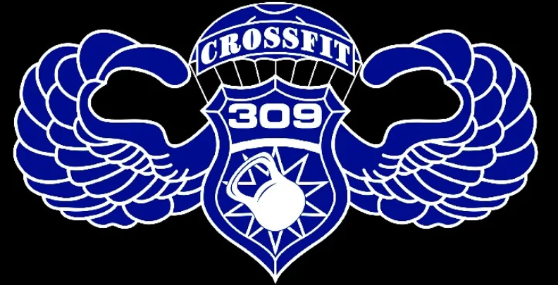 CrossFit 309