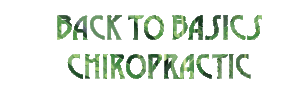 Back To Basics Chiropractic
