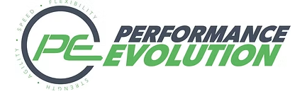 Performance Evolution