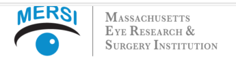 Massachusetts Eye Research