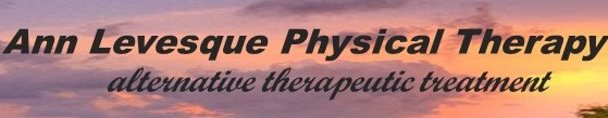 Ann Levesque Physical Therapy