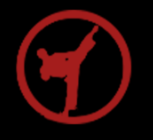 AAMA American Academies of Martial Arts