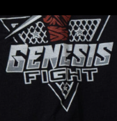 Genesis Training Academy