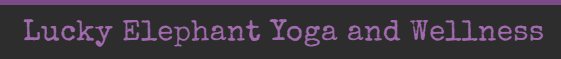 Lucky Elephant Yoga and Wellness