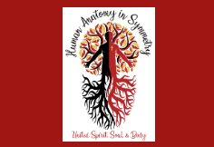 Human Anatomy in Symmetry