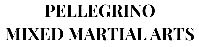 Kurt Pellegrino's Mixed Martial Arts