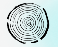 Soldotna Chiropractic & Upper Cervical