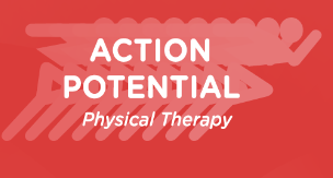 Action Potential