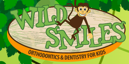 Wild Smiles Dentistry For Kids