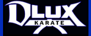 D-Lux New World Karate
