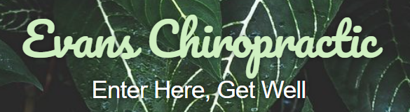 Evans Chiropractic