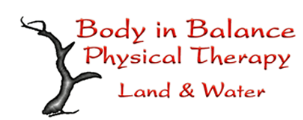 Body In Balance