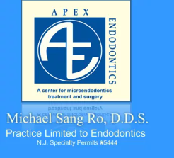 Apex Endodontics
