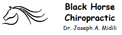 Black Horse Chiropractic