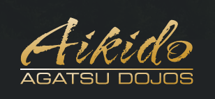 Aikido New Jersey