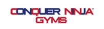 Conquer Ninja Gyms